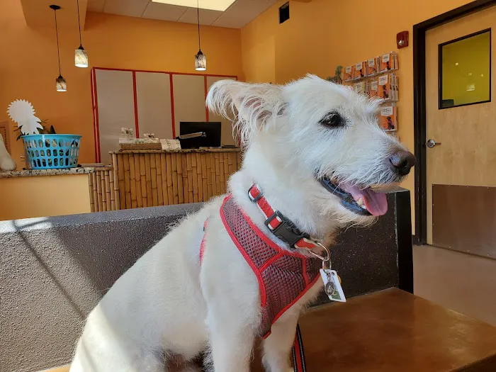 Coastal Animal Medical Center 12