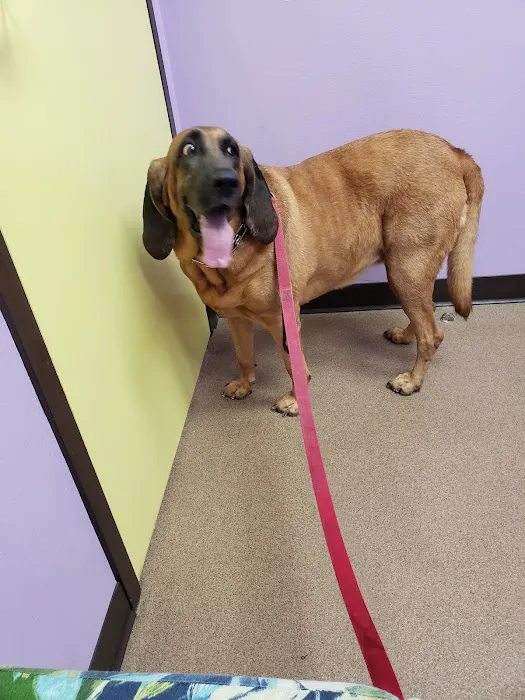 Coastal Animal Medical Center 12