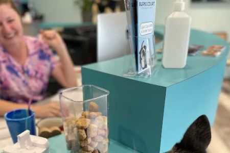 Burns Court Veterinary Care