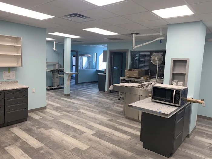 Burns Court Veterinary Care 12