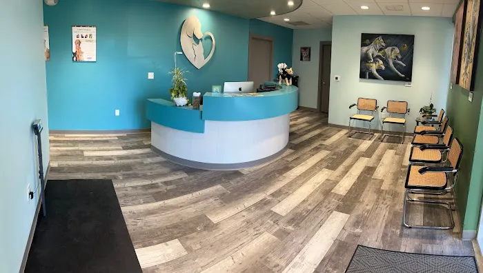 Burns Court Veterinary Care 12