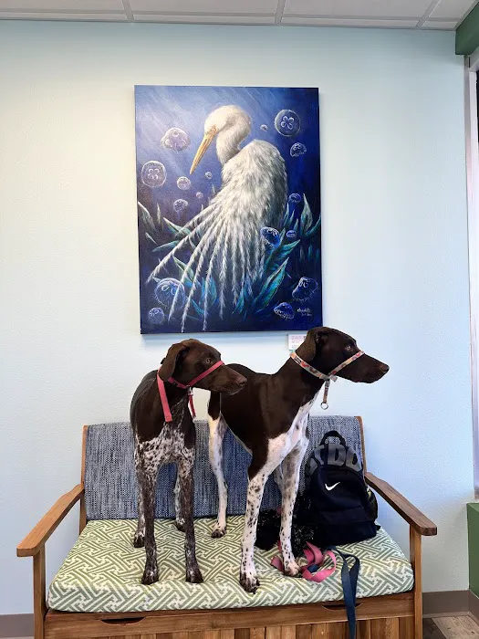 Burns Court Veterinary Care 12
