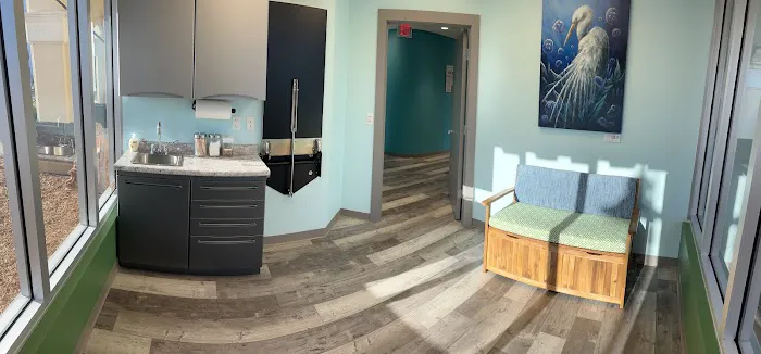 Burns Court Veterinary Care 12