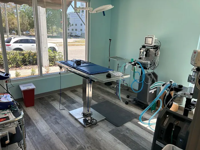 Burns Court Veterinary Care 12
