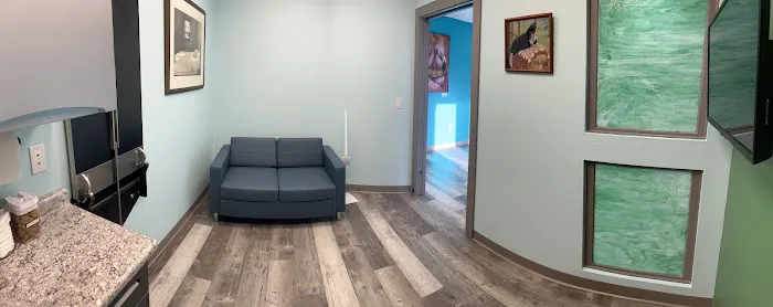 Burns Court Veterinary Care 12