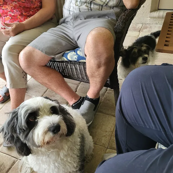 Kindness Animal Clinic 12