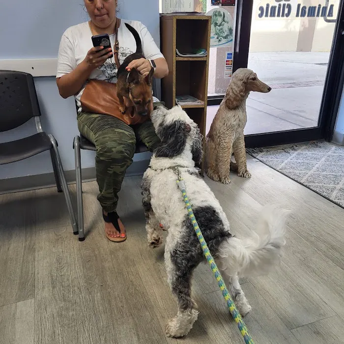 Kindness Animal Clinic 12