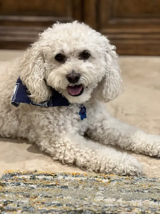 Bee Ridge Veterinary Clinic 4