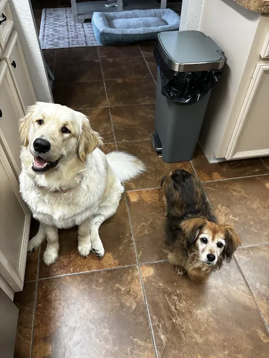 Bee Ridge Veterinary Clinic 6