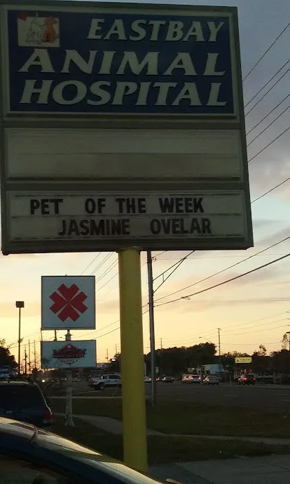 East Bay Animal Hospital 5