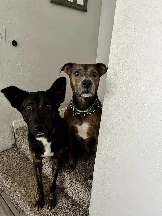 East Bay Animal Hospital 6