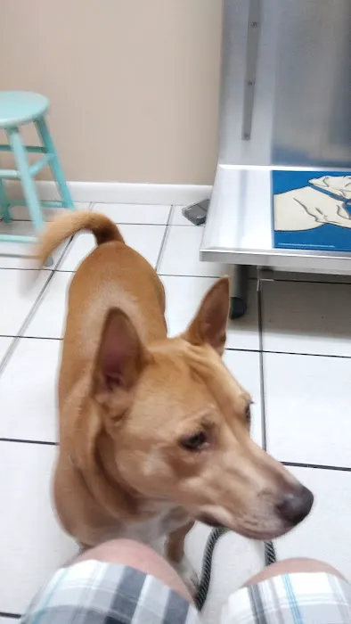 East Bay Animal Hospital 1