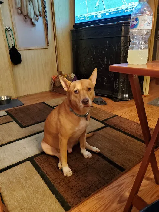 East Bay Animal Hospital 3