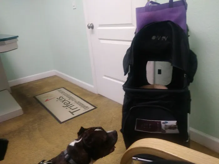 Care Animal Hospital of Seminole 12