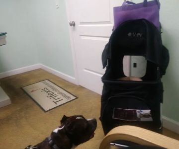 Care Animal Hospital of Seminole