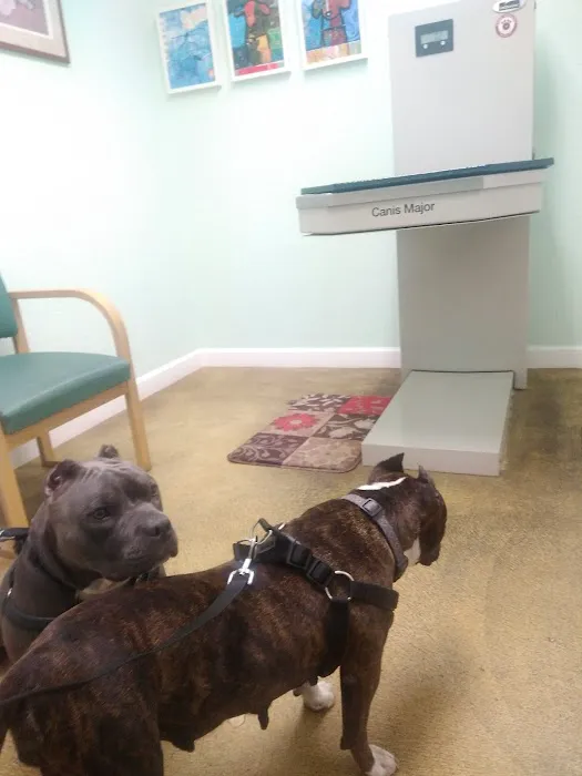 Care Animal Hospital of Seminole 12