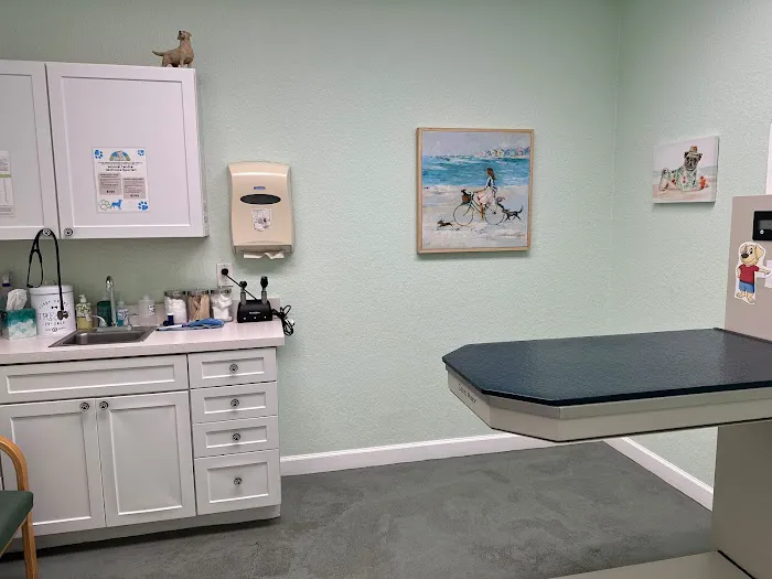 Care Animal Hospital of Seminole 12