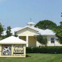 Central Animal Hospital on Pinellas Point ico