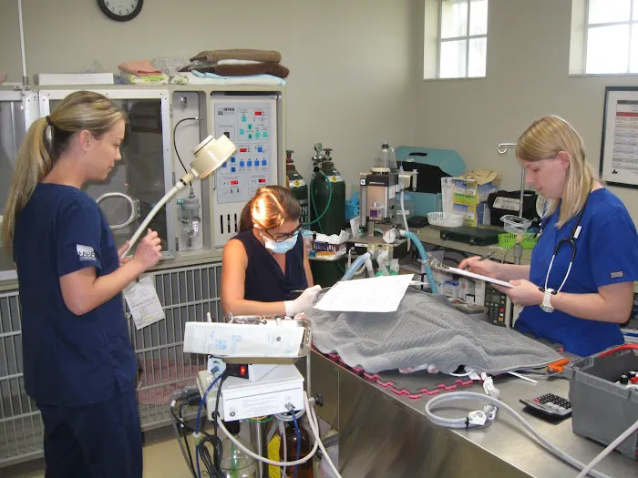Central Animal Hospital on Pinellas Point 12