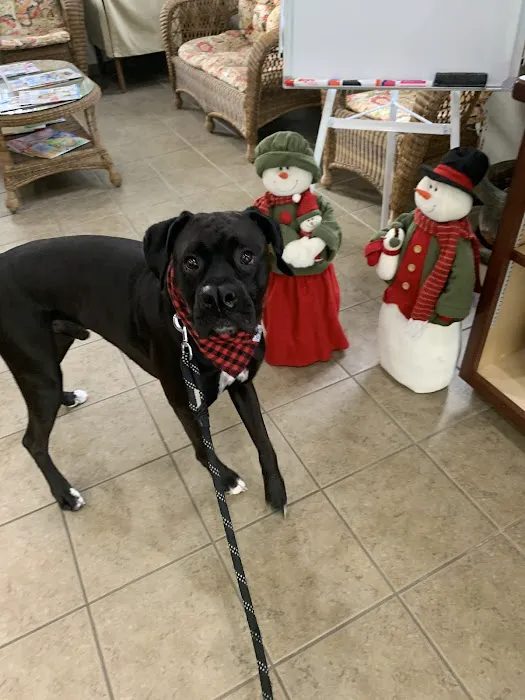 Central Animal Hospital on Pinellas Point 12