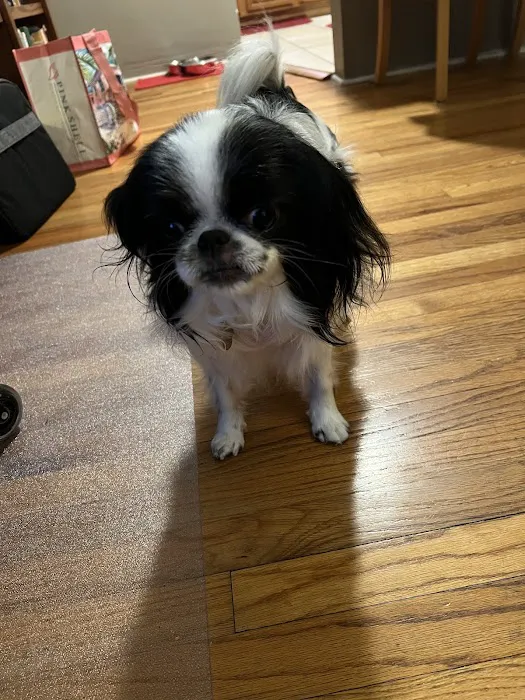 Dr. Kathy's Veterinary Care 5