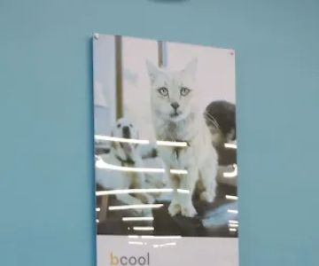 Banfield Pet Hospital