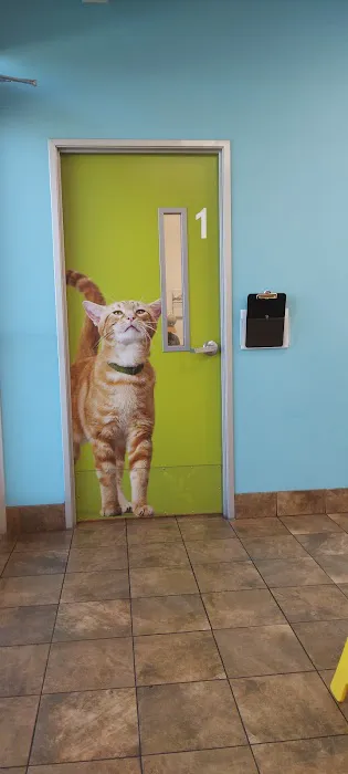 Banfield Pet Hospital 2