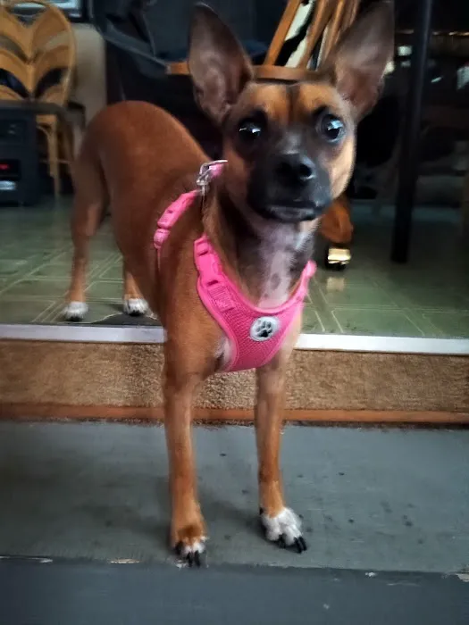 Banfield Pet Hospital 6