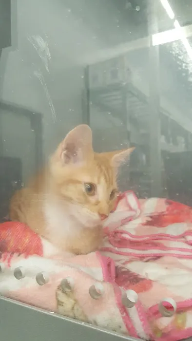 Banfield Pet Hospital 7