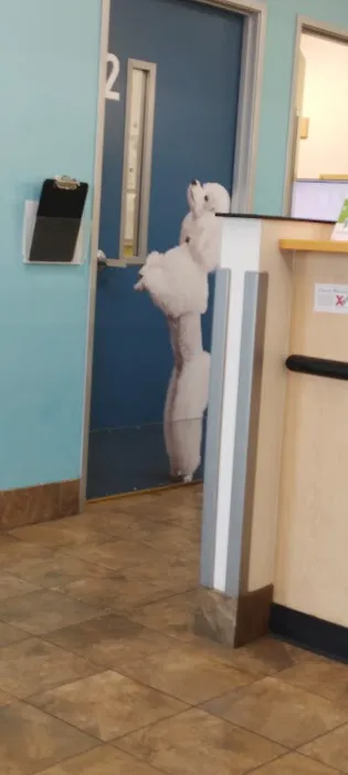 Banfield Pet Hospital 5