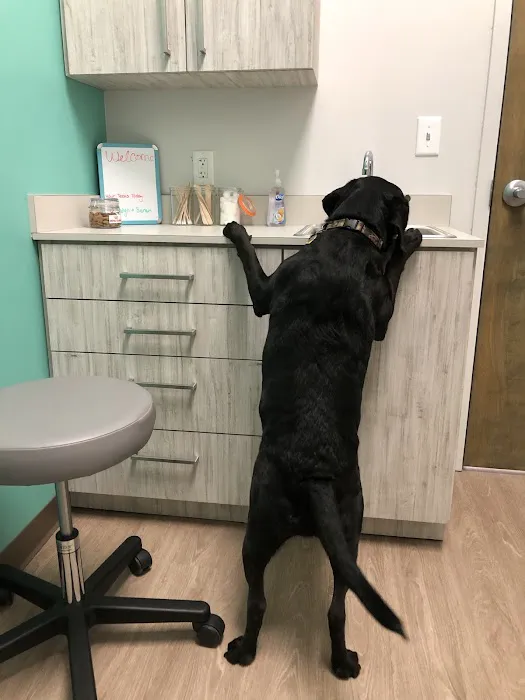 Island Life Animal Hospital 12