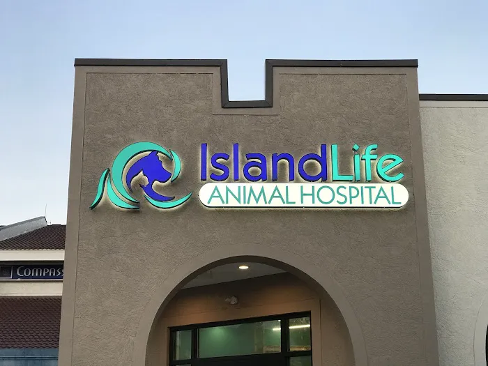 Island Life Animal Hospital 12