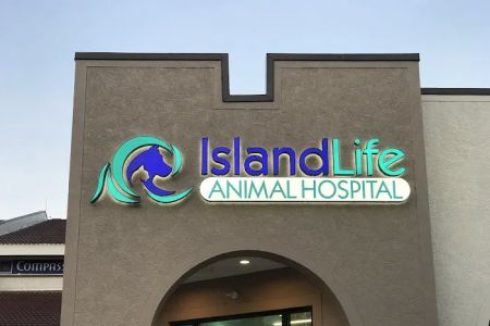 Island Life Animal Hospital