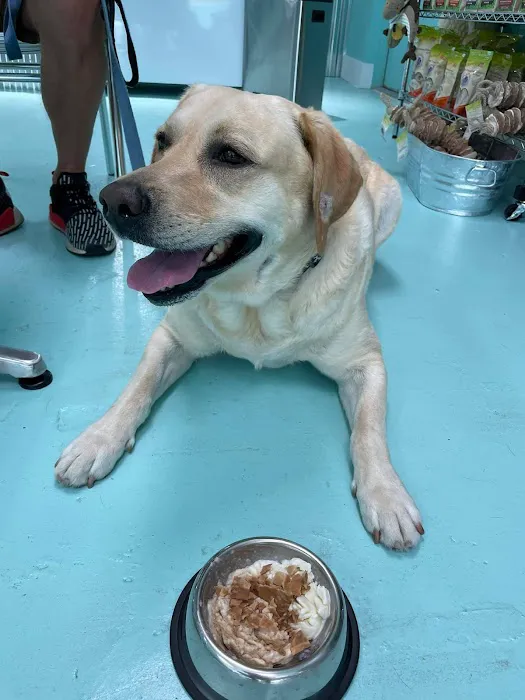 Island Life Animal Hospital 12
