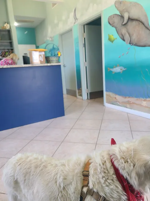 Gulf Animal Hospital 12