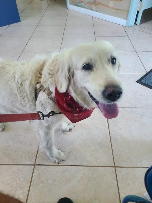 Gulf Animal Hospital 12