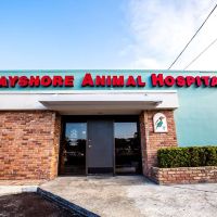 Bayshore Animal Hospital & Avian Practice ico