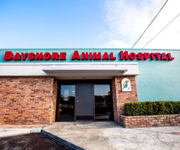 Bayshore Animal Hospital & Avian Practice