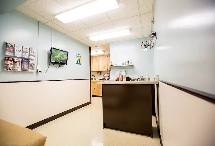 Bayshore Animal Hospital & Avian Practice 12