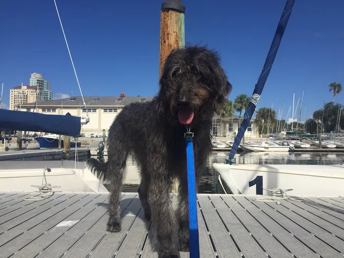 Bayshore Animal Hospital & Avian Practice 12