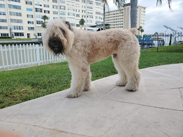 Bayshore Animal Hospital & Avian Practice 12