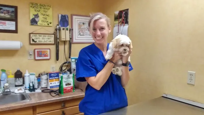 Animal Hospital-Treasure Island 1