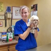 Animal Hospital-Treasure Island ico
