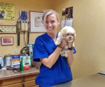 Animal Hospital-Treasure Island