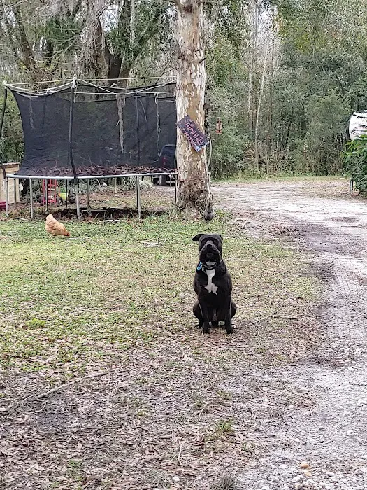 Noah's Mobile Vet Clinic 12