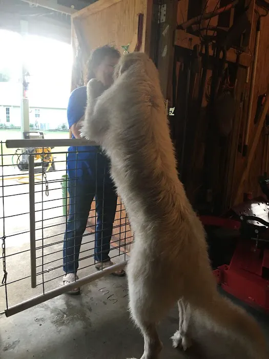 Noah's Mobile Vet Clinic 12