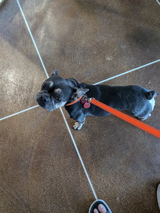 Spring Hill Animal Clinic 12