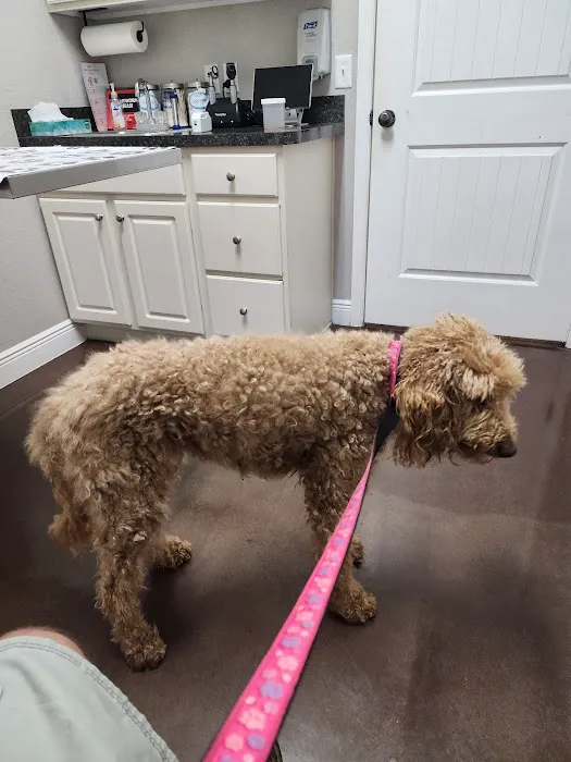 Spring Hill Animal Clinic 12