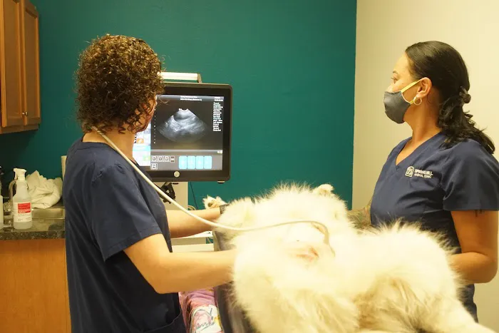 Spring Hill Animal Clinic 12