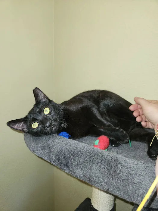 Spring Hill Animal Clinic 12